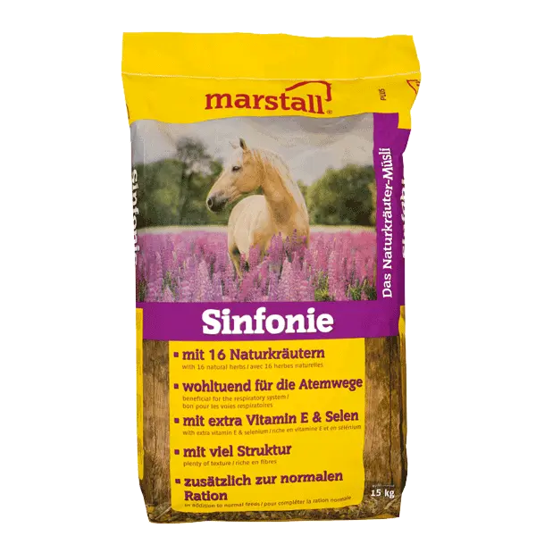Marstall Sinfonie