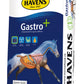 Havens GASTRO+ 20KG